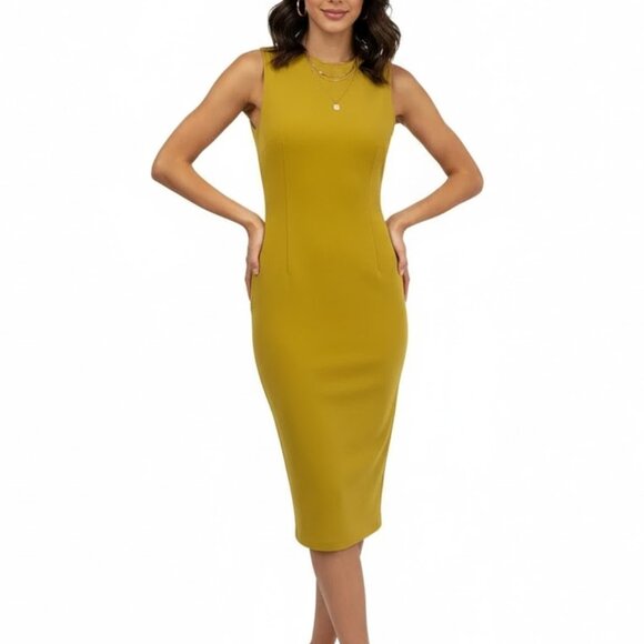 Aritzia Babaton Sleeveless Midi Dress - Picture 1 of 3